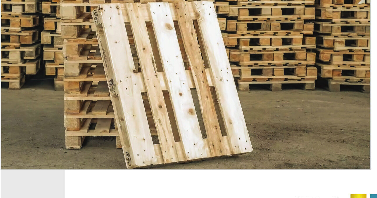 Pallet gỗ NTT