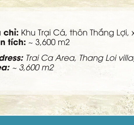 Kho thành phẩm